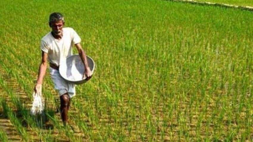 किसानों को सुगमता से मिल रहा खाद-बीज, अब तक 12 लाख मीट्रिक टन खाद और 8.83 लाख क्विंटल बीज का हो चुका वितरण…