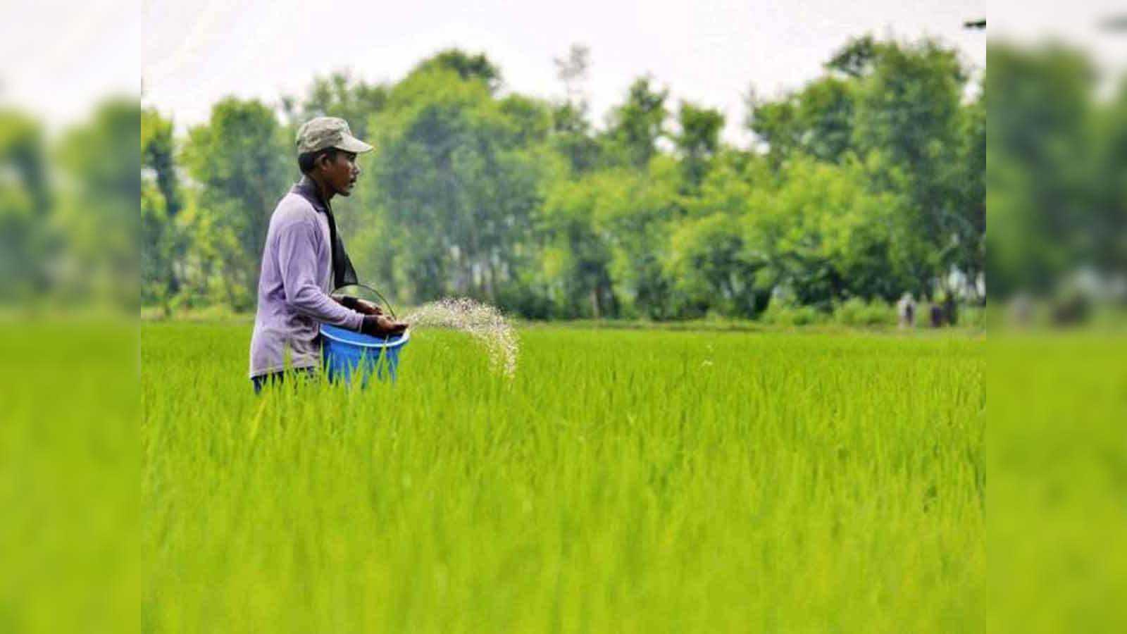 किसान अब 16 अगस्त तक करा सकेंगे फसल बीमा