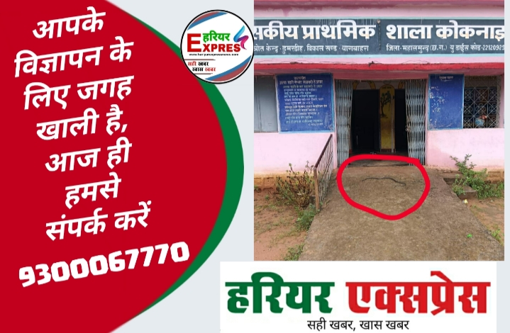 प्राथमिक शाला कोकनाई में निकला सांप, स्कूल सफाई कर्मचारी अनिश्चितकालीन हड़ताल पर…