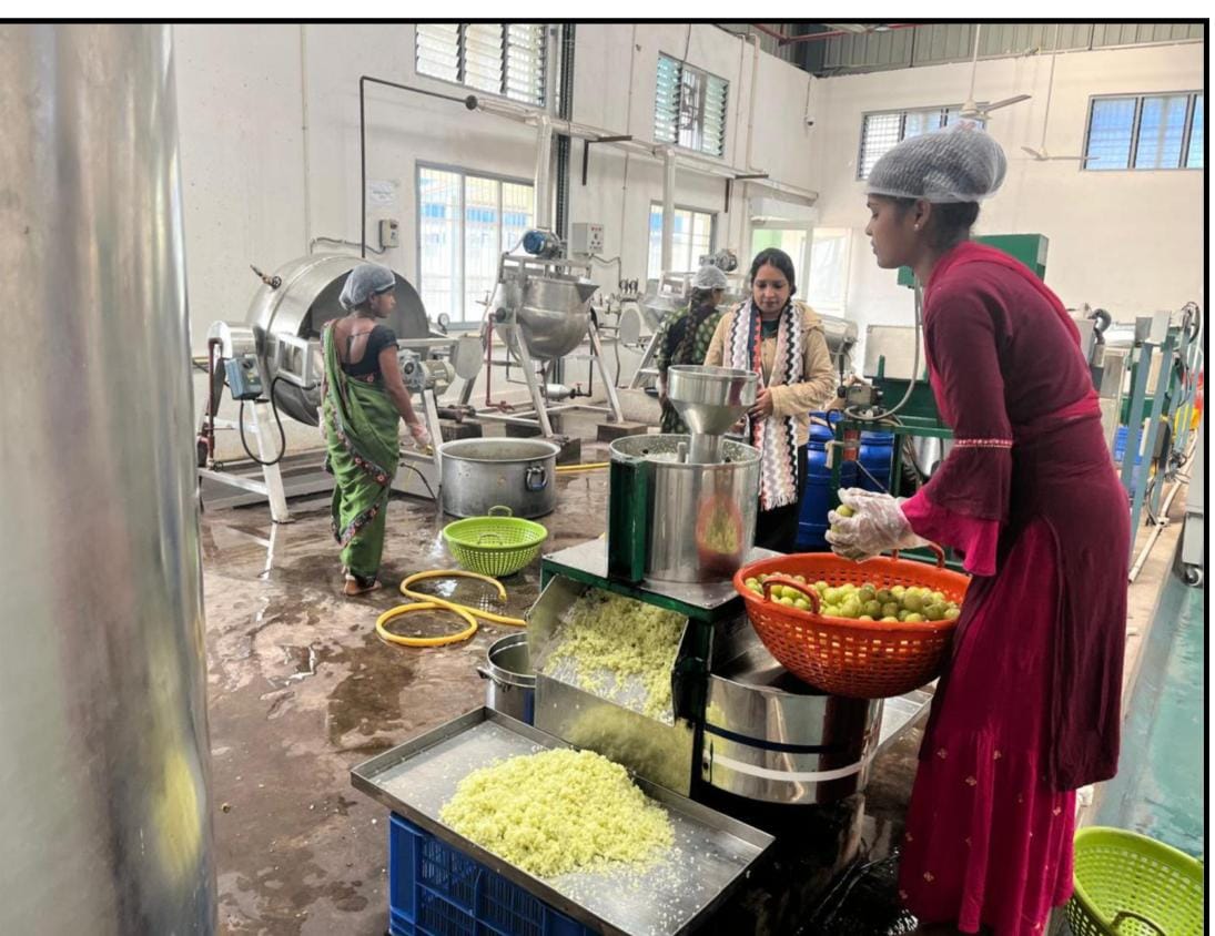 केन्द्रीय प्रसंस्करण इकाई जामगांव एम: ग्रामीण अर्थव्यवस्था और रोजगार को नया बल…