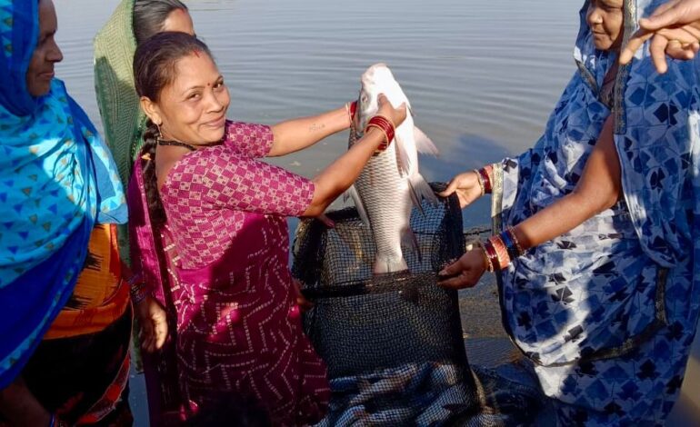 बिहान योजना से बदल रही जिंदगी, लखपति दीदी बनकर आगे बढ़ रहीं जिले की महिलाएँ