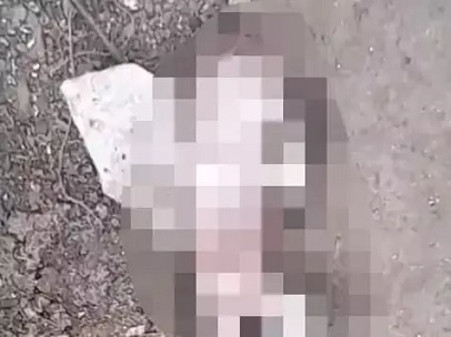 दुर्ग जिला अस्पताल के पीछे नाली में मिला नवजात का शव…