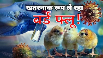 बर्ड फ्लू बीमारी का अलर्ट जारी, मुर्गा मुर्गी खाने से करें परहेज…