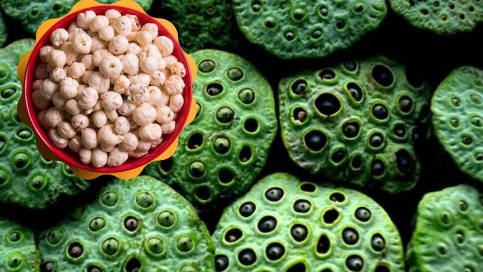 वनांचल क्षेत्र में आय के नए स्रोत- मखाना खेती से सशक्त होंगे महिला समूह…