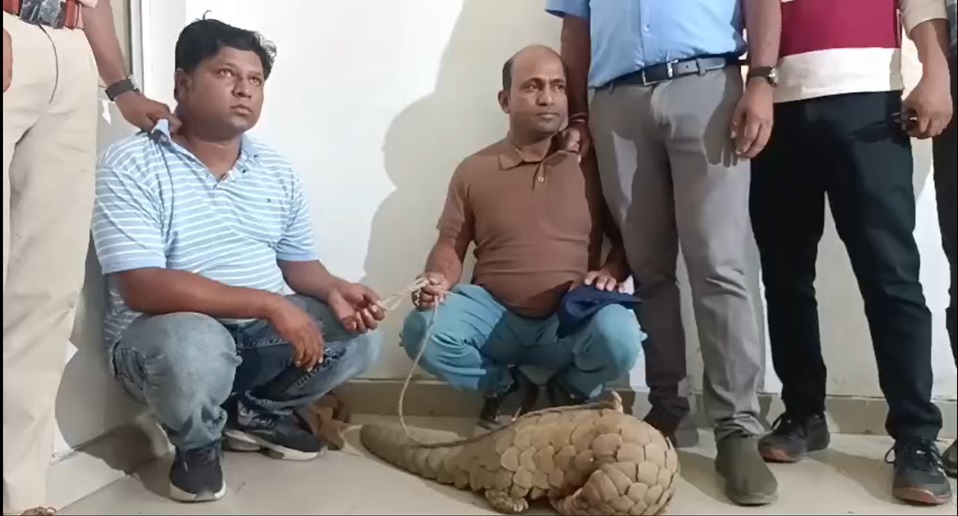पैंगोलिन बेचने रायपुर पहुंचे 2 तस्कर हुए गिरफ्तार…