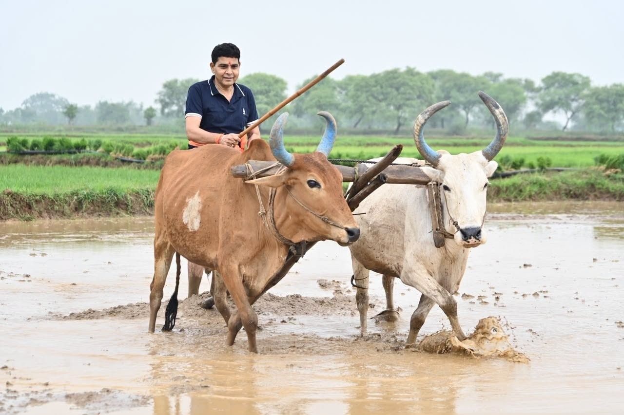 हरेली हमारी माटी, कृषि और संस्कृति से जुड़ा उत्सव : राजस्व मंत्री टंक राम वर्मा