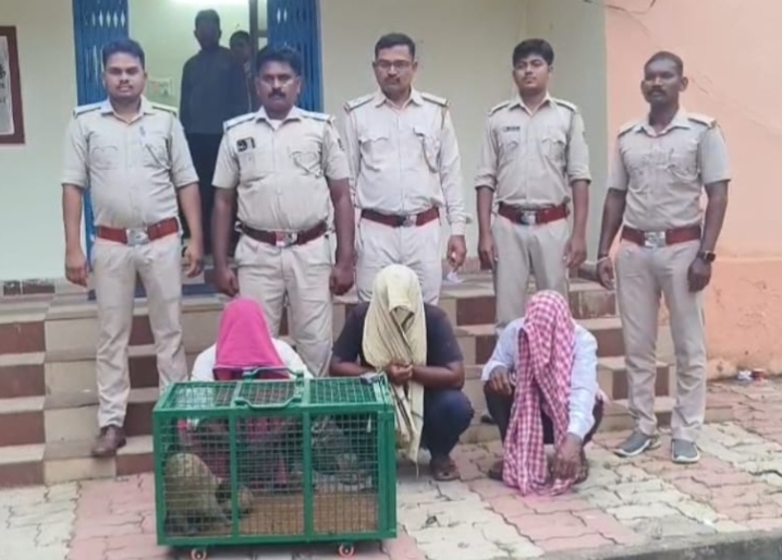 तस्करों से जिंदा वन्य प्राणी पेंगोलिन रेस्क्यू, 3 गिरफ्तार…