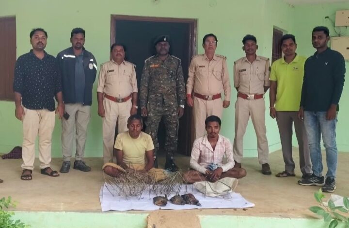 जंगल में फंदा लगाकर कर रहे थे शिकार, वन विभाग ने दबोचे दो आरोपी: 3 जंगली मुर्गे बरामद…